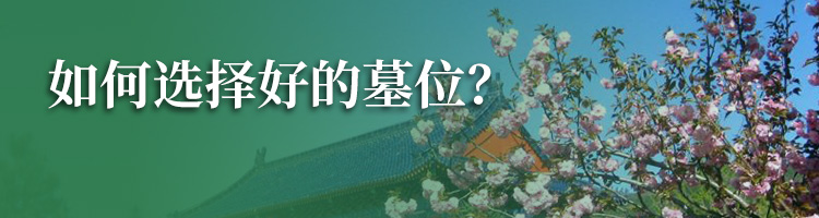 盘龙台公墓
